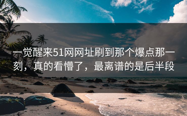一觉醒来51网网址刷到那个爆点那一刻，真的看懵了，最离谱的是后半段