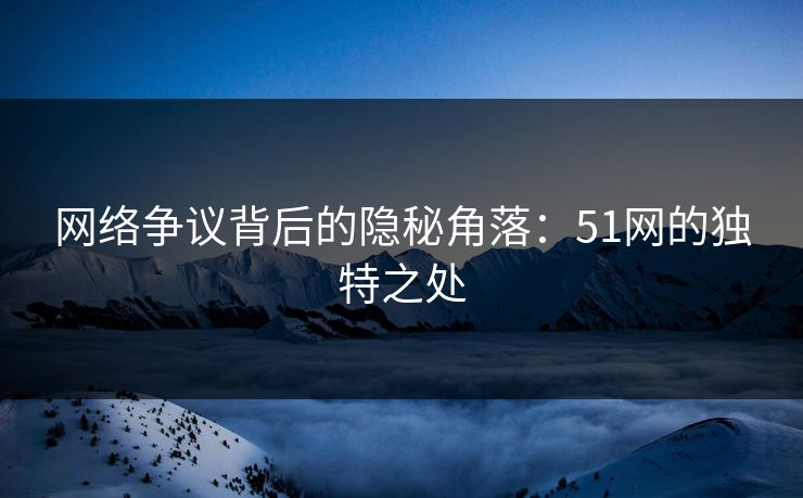 网络争议背后的隐秘角落：51网的独特之处