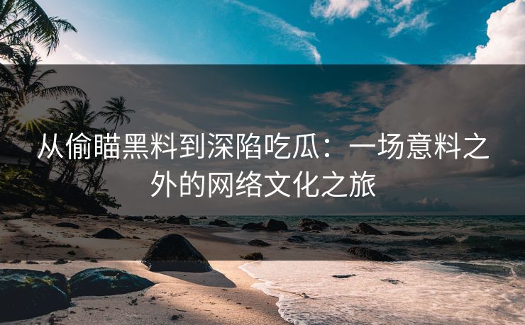 从偷瞄黑料到深陷吃瓜：一场意料之外的网络文化之旅