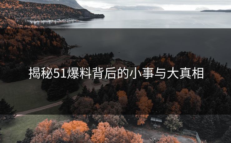 揭秘51爆料背后的小事与大真相