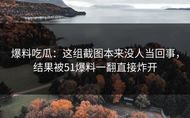 爆料吃瓜：这组截图本来没人当回事，结果被51爆料一翻直接炸开